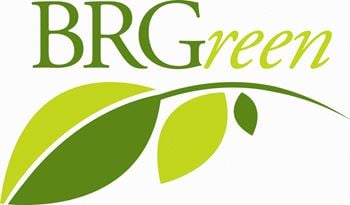 Brgreen logo
